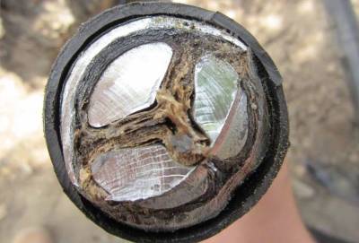 Сдать кабель свинцовый цена в Москве Сдать кабель свинцовый цена в Москве